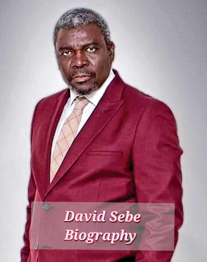 David Sebe Biography