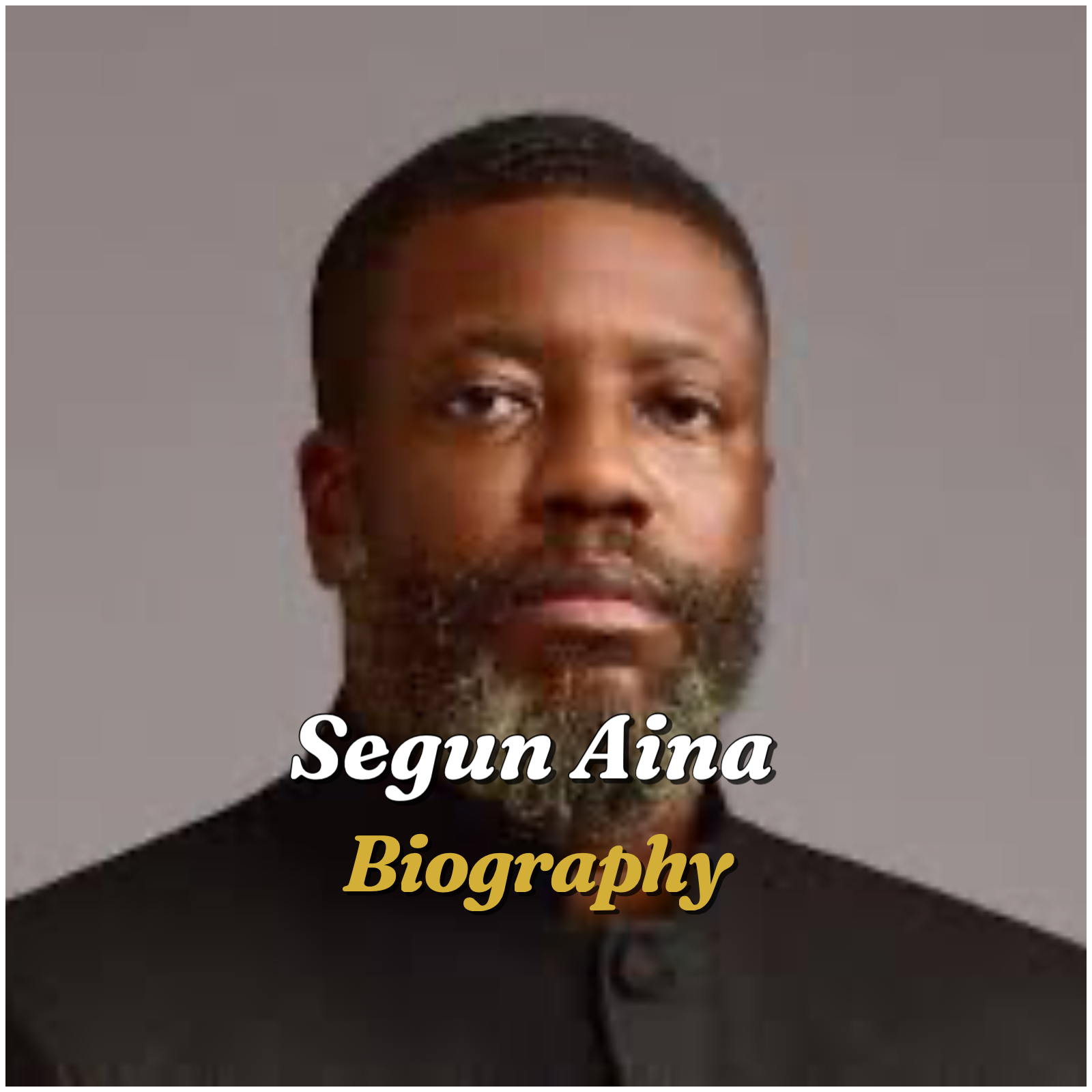 Segun Aina Biography