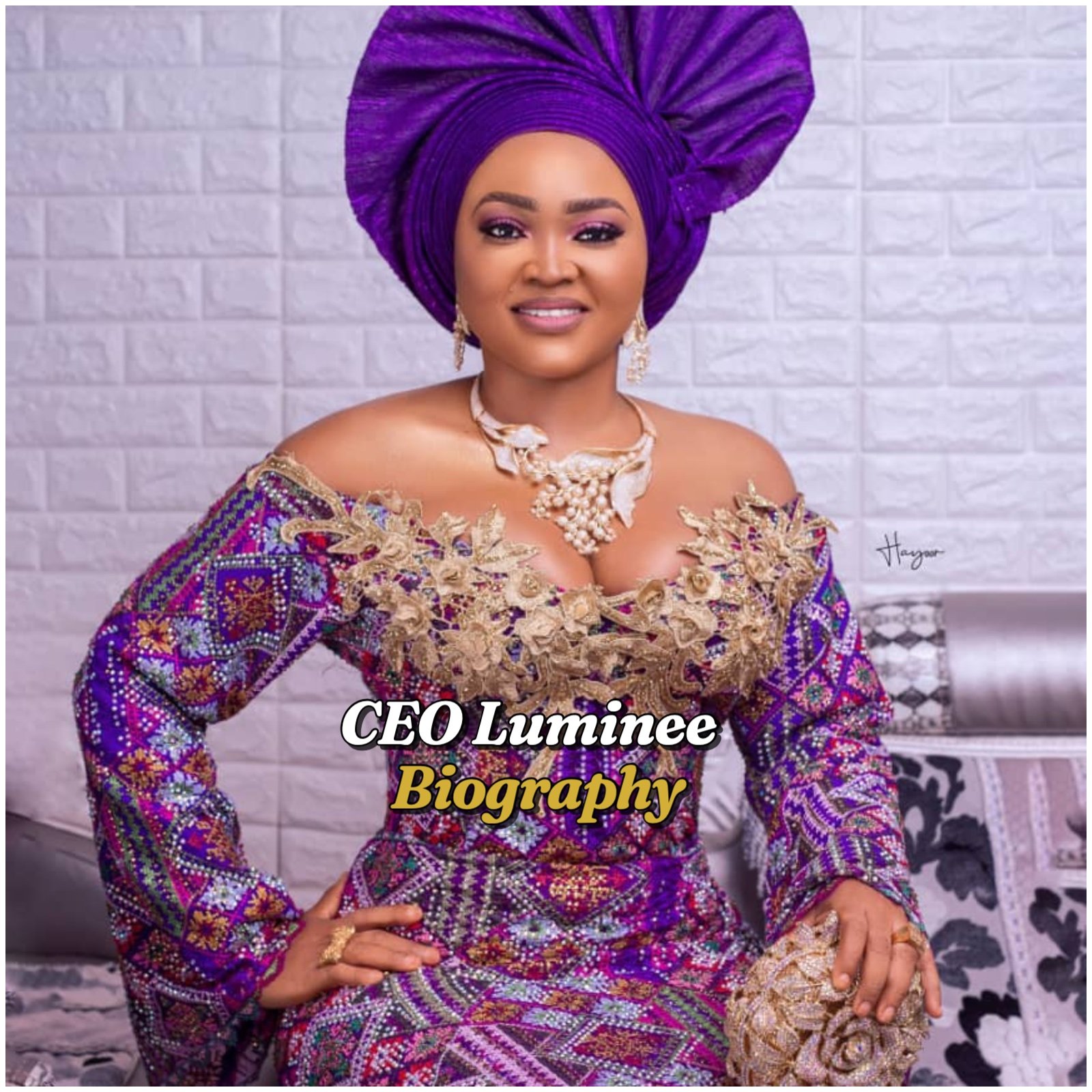 CEO Luminee Biography