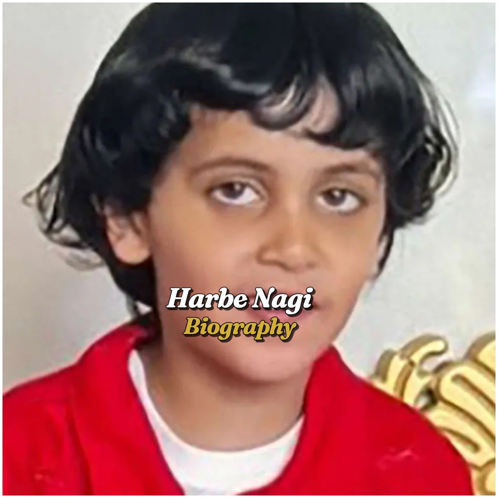 Harbe Nagi Biography