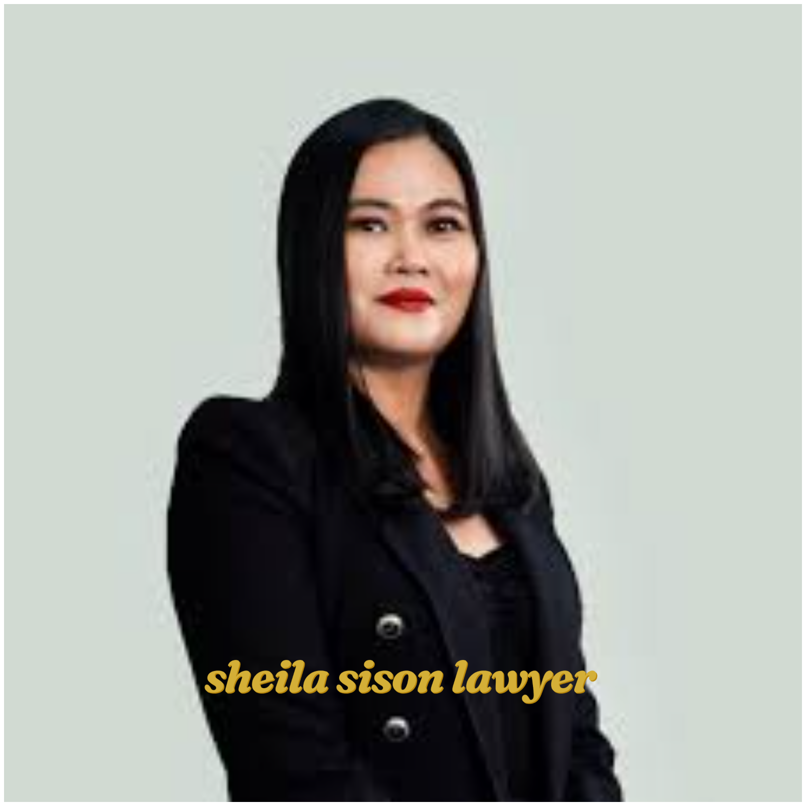 sheila sison lawyer biography